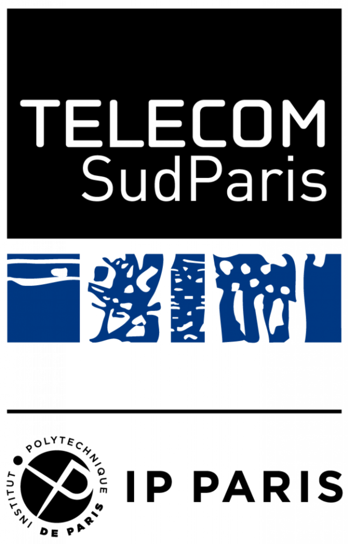 Logo TSP